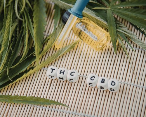 CBD and THC cubes beside a botanical oil dropper and cannabis leaves, representing phytocannabinoids and the entourage effect.