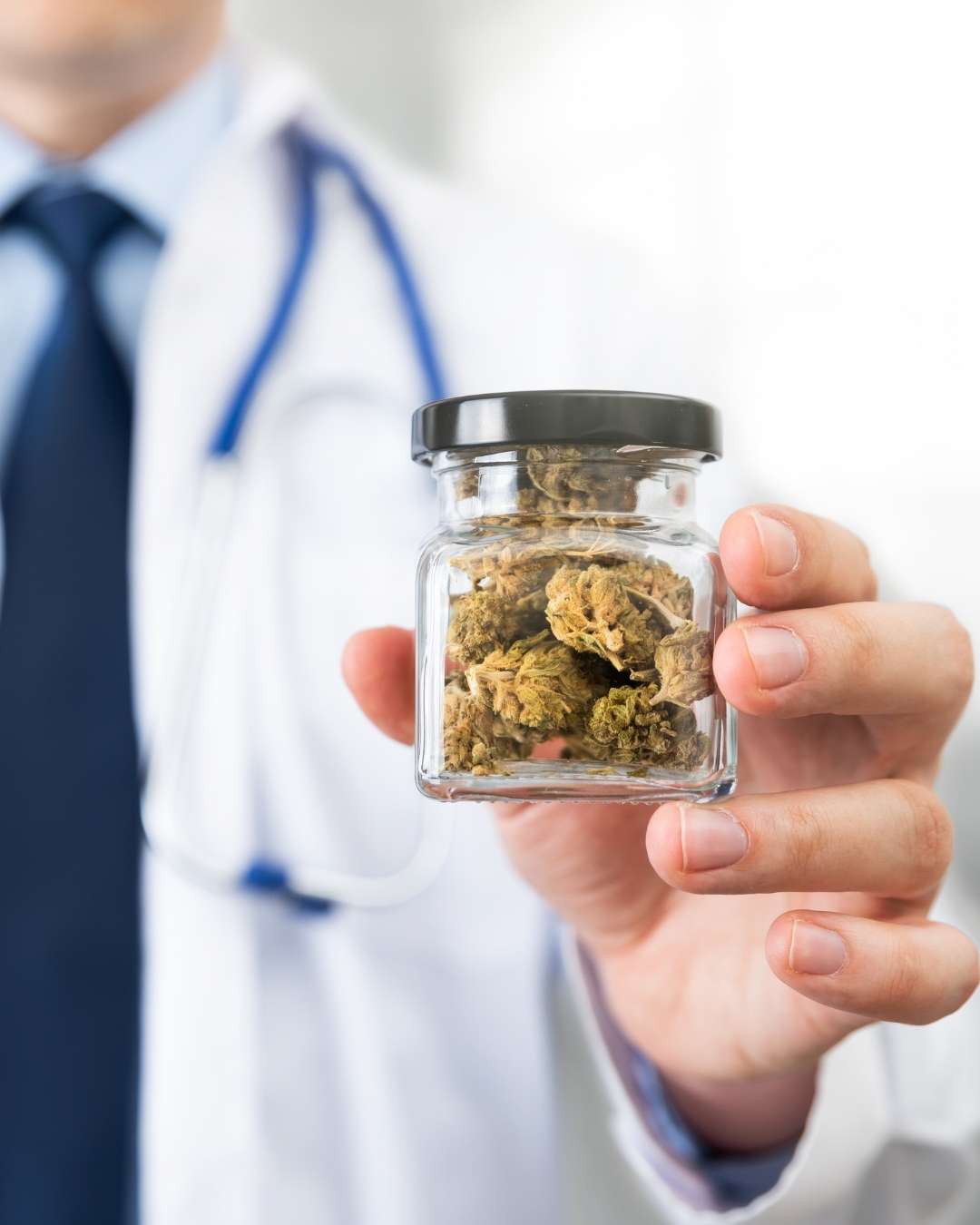 Medical professional holding cannabis sample representing cannabinoid research and endocannabinoid system science