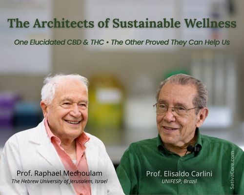 Raphael Mechoulam and Elisaldo Carlini pioneers of cannabinoid science and cannabis medical research