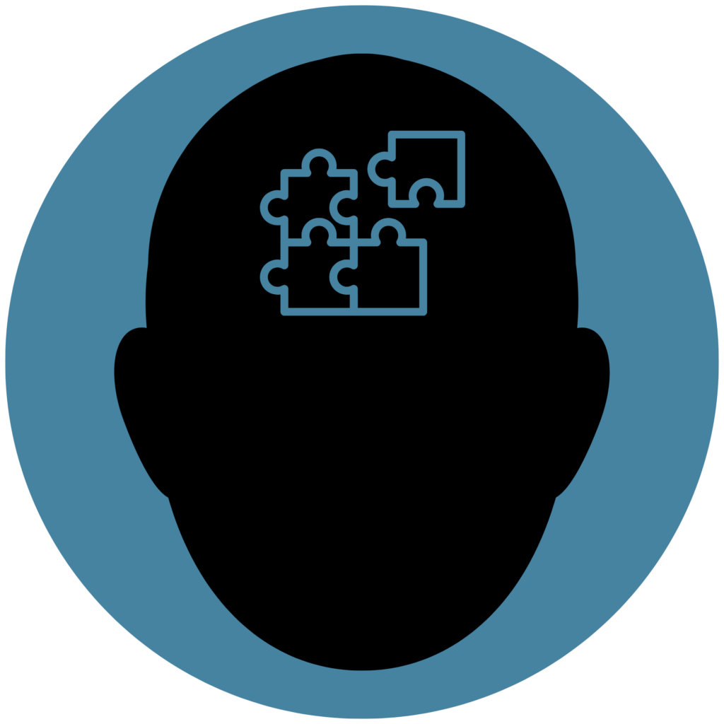 Puzzle-piece icon representing cognitive reasoning and organized thinking